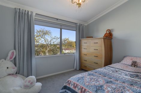 Photo of property in 21 Maihi Crescent, Maungatapu, Tauranga, 3112