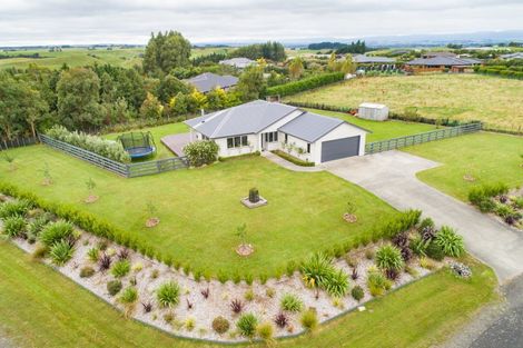 Photo of property in 12 Wapiti Avenue, Feilding, 4775