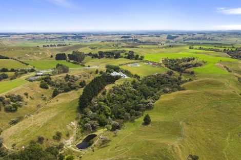 Photo of property in 174 Reynolds Road, Ratana, Whanganui, 4581