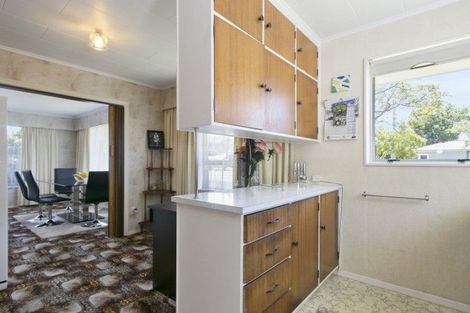 Photo of property in 4 Epuni Street, Hutt Central, Lower Hutt, 5011