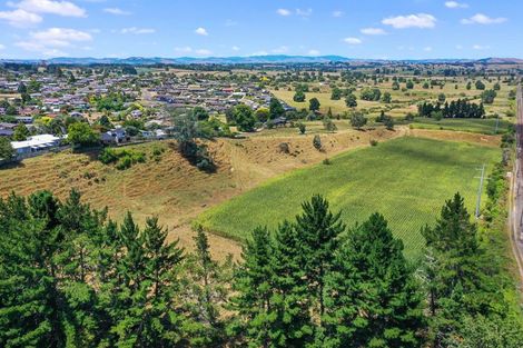 Photo of property in 540 Wallace Terrace, Te Awamutu, 3800