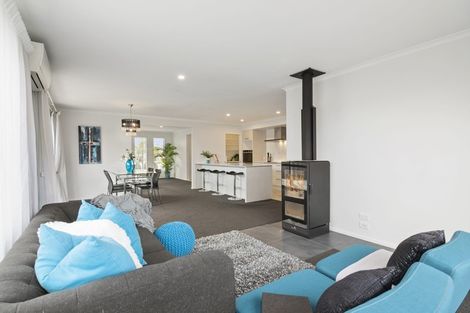 Photo of property in 16 Boysenberry Grove, Richmond, 7020