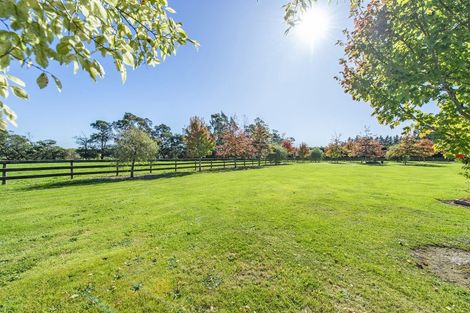 Photo of property in 193 Terrace Road, Leithfield, Amberley, 7481