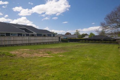 Photo of property in 91 Carmichael Road, Bethlehem, Tauranga, 3110