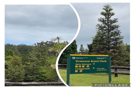 Photo of property in 382 Katui Road, Donnellys Crossing, 0379