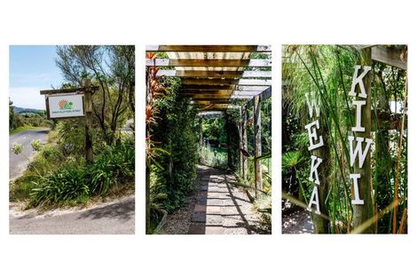 Photo of property in 609a Stanley Road, Wainui, Opotiki, 3198