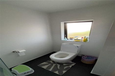 Photo of property in 3 Walker Terrace, Dinsdale, Hamilton, 3204