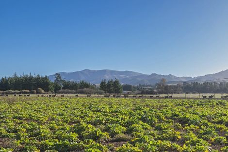 Photo of property in 84 Woodside Road, Matangi, Hamilton, 3284