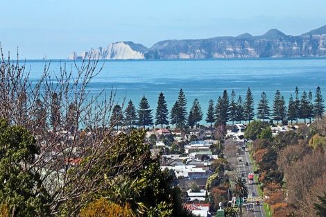 Photo of property in 17 Simla Terrace, Hospital Hill, Napier, 4110