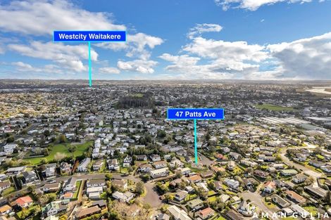 Photo of property in 47 Patts Avenue, Glendene, Auckland, 0602