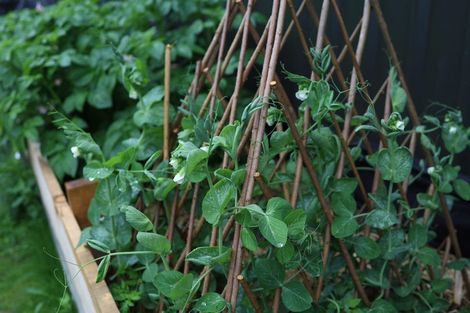 Photo of property in 17 Tuke Lane, Wanaka, 9305