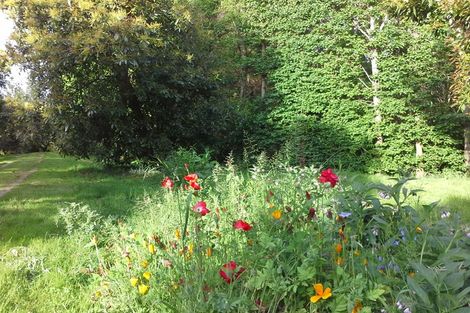 Photo of property in 760 Allport Road, Paengaroa, Te Puke, 3189