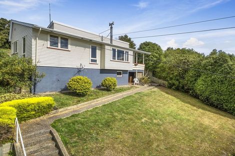 Photo of property in 113 Mulford Street, Concord, Dunedin, 9018