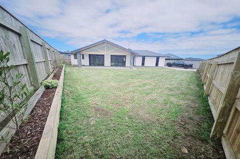 Photo of property in 59 Tawhero Street, Gonville, Wanganui, 4501