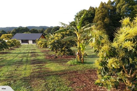 Photo of property in 704 Ngunguru Road, Glenbervie, Whangarei, 0173