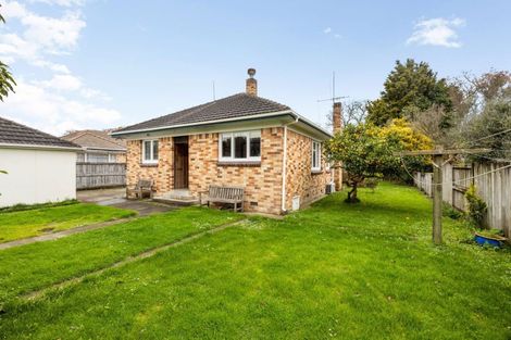 Photo of property in 116 Brookfield Street, Hamilton East, Hamilton, 3216