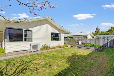 Photo of property in 35d Douglas Street, Whakatane, 3120