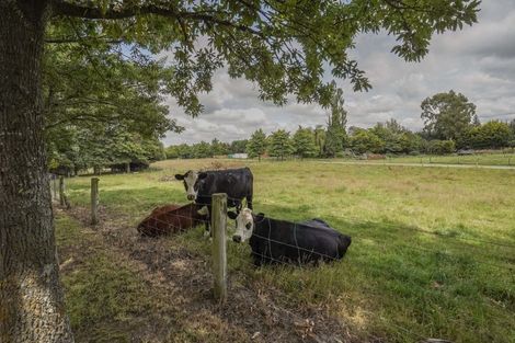 Photo of property in 68 Fawcetts Road, Ashley, Rangiora, 7477