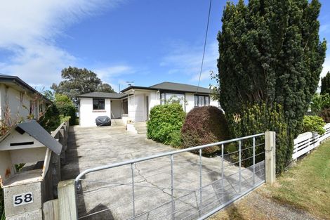 Photo of property in 58 Kilmarnock Street, Wallacetown, 9816