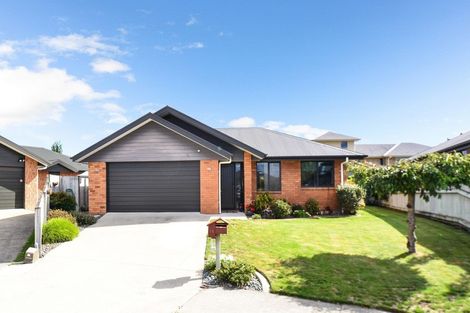 Photo of property in 14 Edward Street, Grandview Heights, Hamilton, 3200