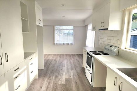Photo of property in 24 Carlisle Street, Levin, 5510