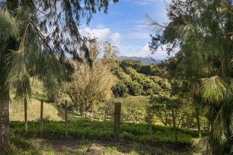 Photo of property in 335 Kauri Point Road, Tahawai, Katikati, 3170