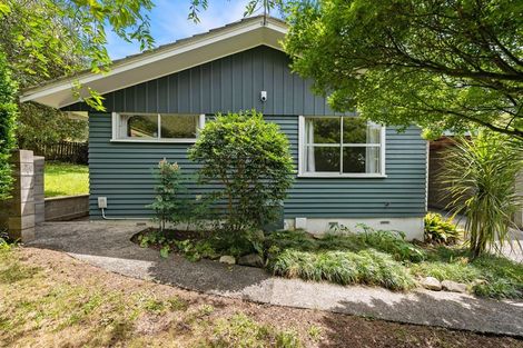 Photo of property in 30 Kowhai Street, Hamilton Lake, Hamilton, 3204