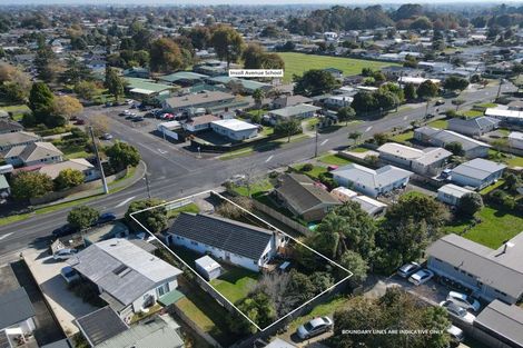 Photo of property in 222 Tramway Road, Enderley, Hamilton, 3214