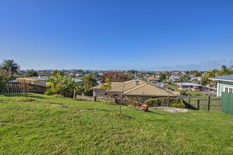 Photo of property in 38 Ranfurly Street, Dargaville, 0310