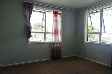 Photo of property in 60 Webster Avenue, Mount Roskill, Auckland, 1041