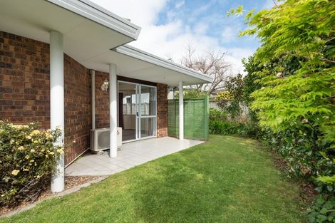 Photo of property in 14b Fourth Avenue, Tauranga, 3110
