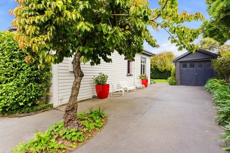 Photo of property in 139 Eglinton Road, Mornington, Dunedin, 9011