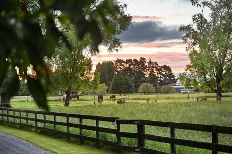 Photo of property in 509 Marychurch Road, Matangi, Hamilton, 3284