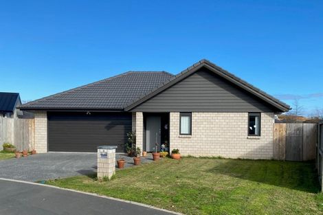 Photo of property in 9 Buckley Way, Flagstaff, Hamilton, 3210