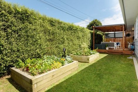 Photo of property in 51 Humber Crescent, Gate Pa, Tauranga, 3112