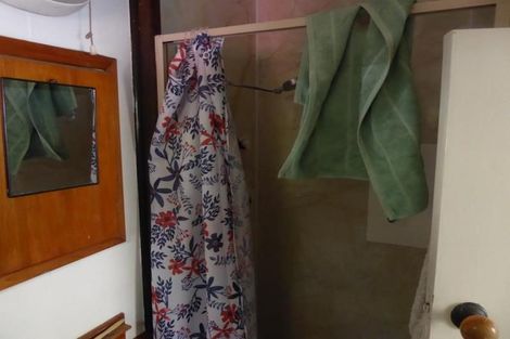 Photo of property in 46 Sussex Street, Mount Cook, Wellington, 6021