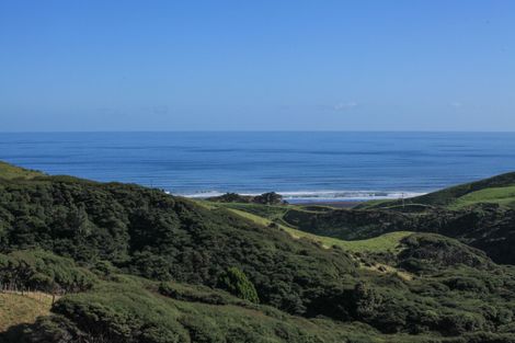 Photo of property in 1644a Whaanga Road, Raglan, 3296