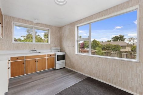 Photo of property in 58 Frankleigh Street, Somerfield, Christchurch, 8024