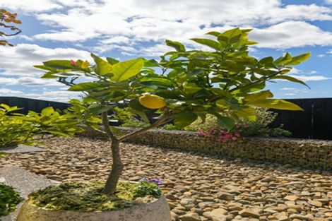 Photo of property in 32 Pourewa Street, Te Kauwhata, 3710