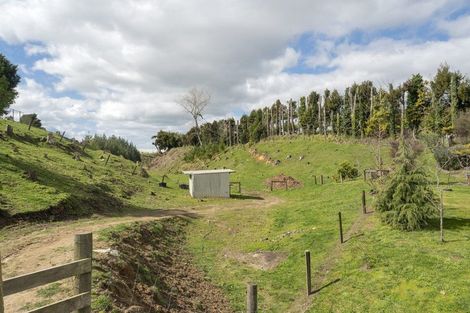 Photo of property in 589 Rangiuru Road, Rangiuru, Te Puke, 3188