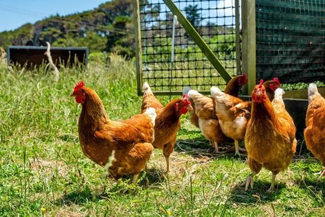 Photo of property in 185 Tasman Street, Opunake, 4616