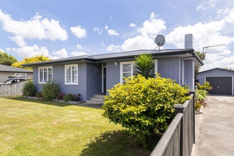 Photo of property in 25 Battersea Place, Roslyn, Palmerston North, 4414
