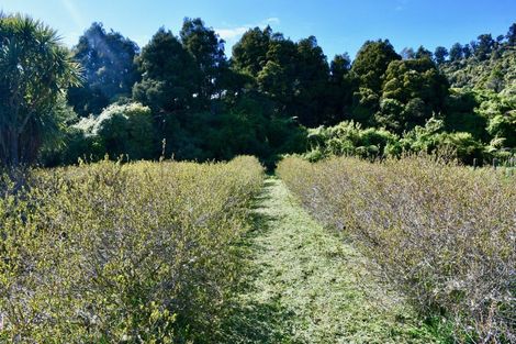 Photo of property in 1/19 Glasseye Drive, Little Wanganui, Karamea, 7893