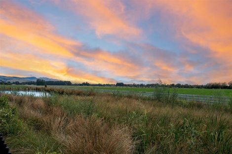 Photo of property in 59 Kaitorete Drive, Lincoln, 7608