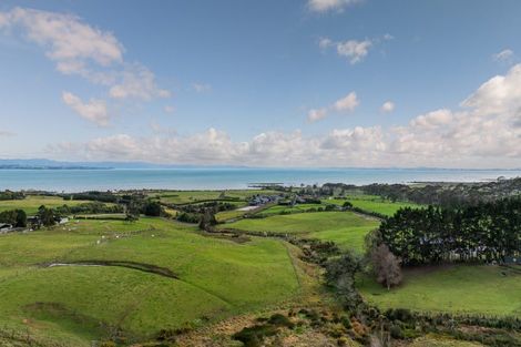Photo of property in 425 Clarks Beach Road, Waiau Pa, Pukekohe, 2679