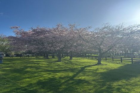 Photo of property in 921 Gordonton Road, Gordonton, Hamilton, 3281