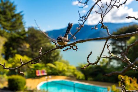 Photo of property in 259 Queen Charlotte Drive, Havelock, Picton, 7281