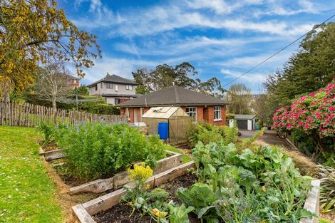 Photo of property in 59 Aotea Street, Tainui, Dunedin, 9013