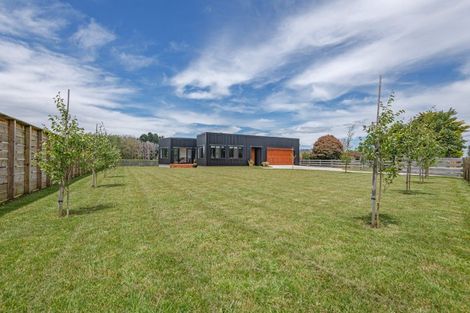 Photo of property in 583 Wellington Road, Marton, 4710