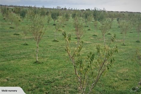 Photo of property in 324 Greig Road, Matata, Whakatane, 3194